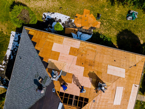 Roof Waterproofing Services in Egypt, AL